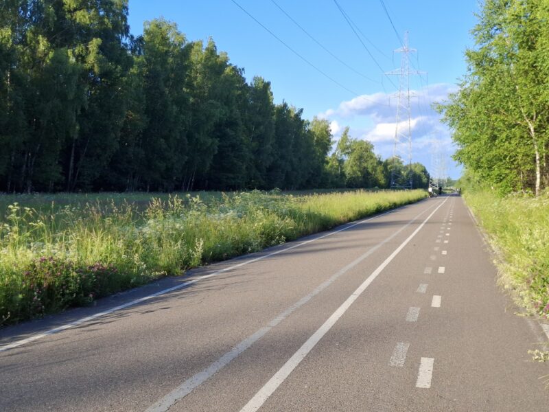 Дорожки в парке Лосиный остров, состояние на 21 июня 2026 по отзыву, фото 3. 
